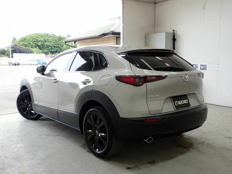 CX-30-2