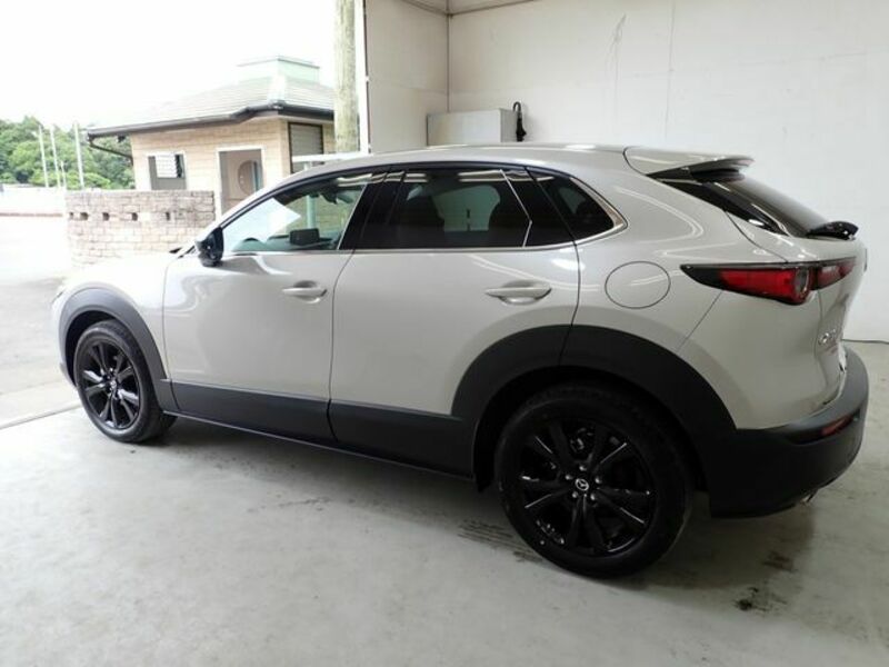 CX-30-6