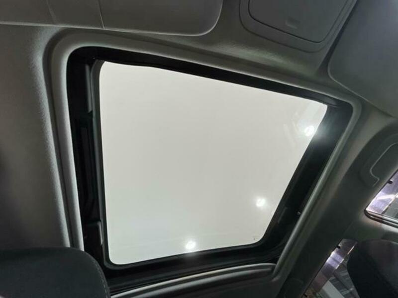 FORESTER-2