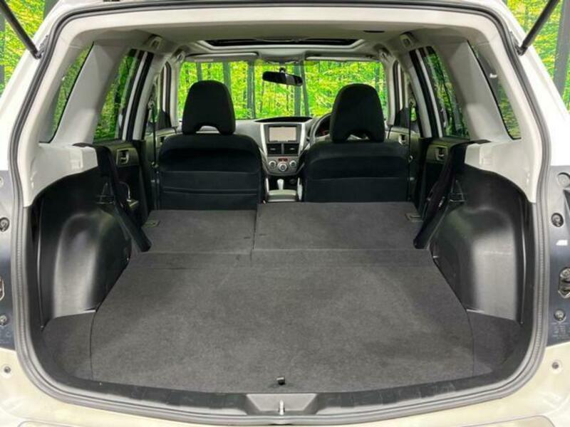 FORESTER-10