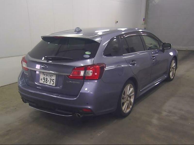 LEVORG