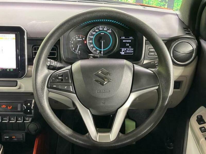 IGNIS-10