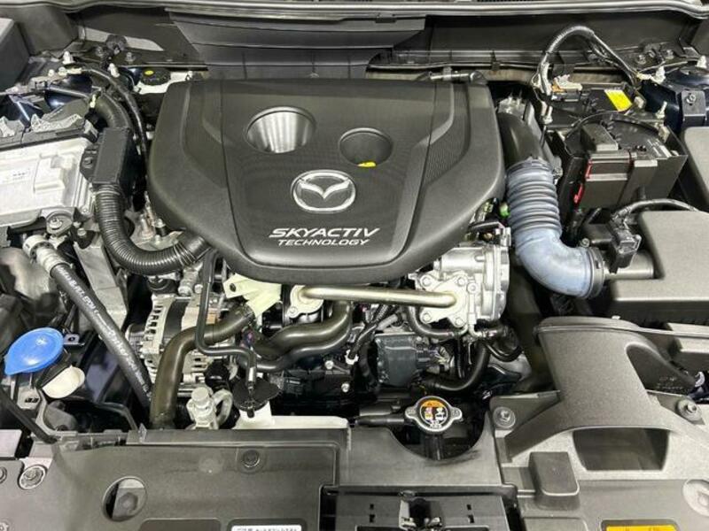 CX-3-17