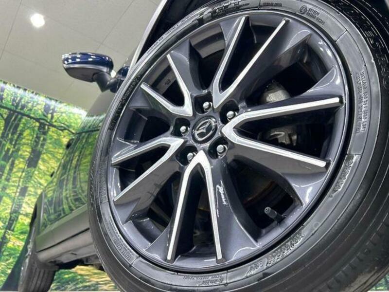 CX-3-12