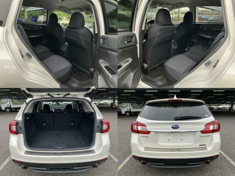 LEVORG