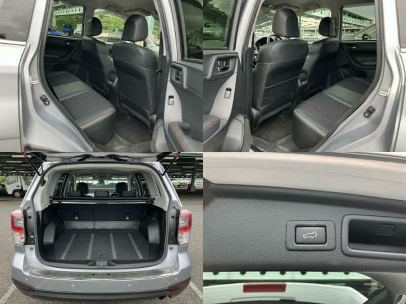 FORESTER-6