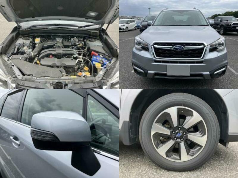 FORESTER-7