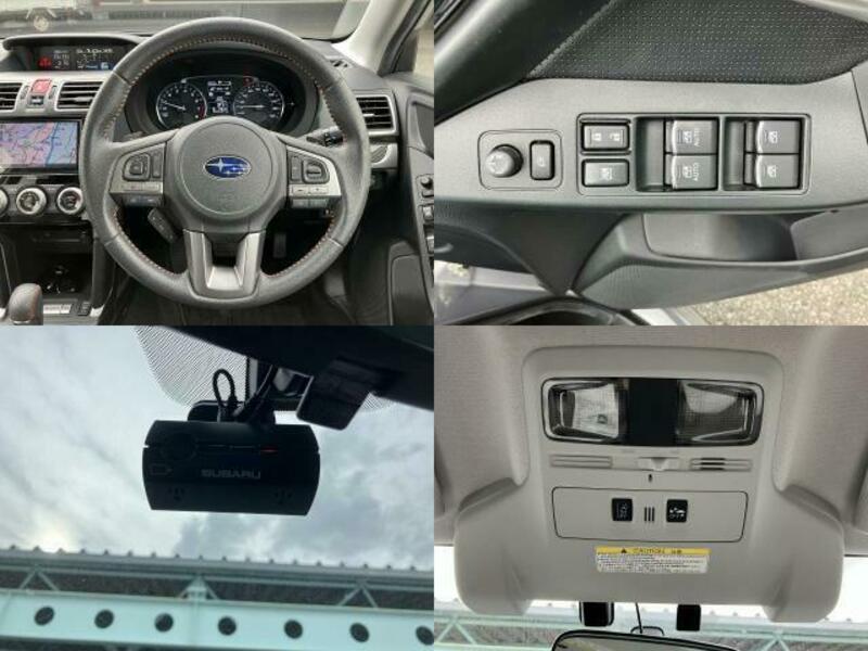 FORESTER-8
