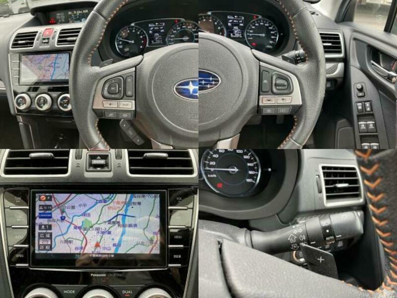FORESTER-9