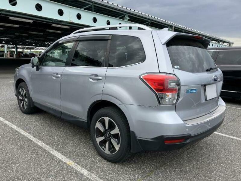FORESTER-1
