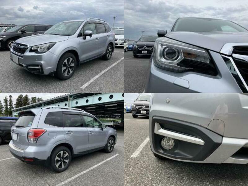 FORESTER-3