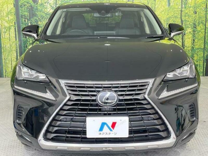 NX