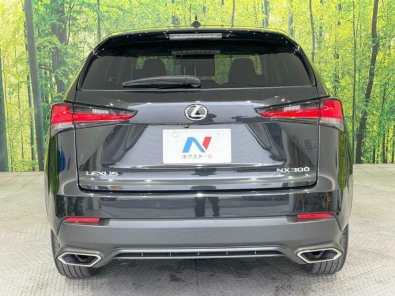 NX