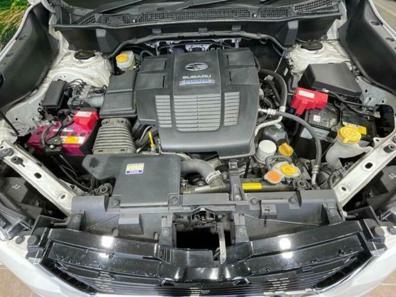FORESTER-16