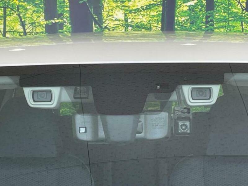 FORESTER-5