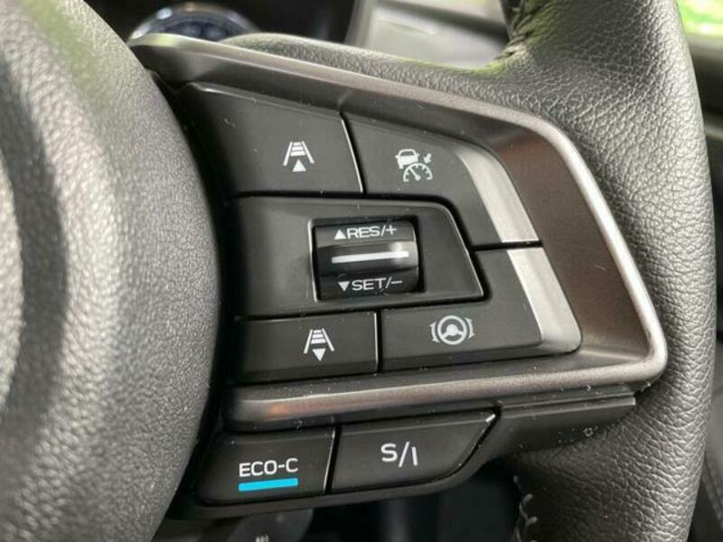 FORESTER-6