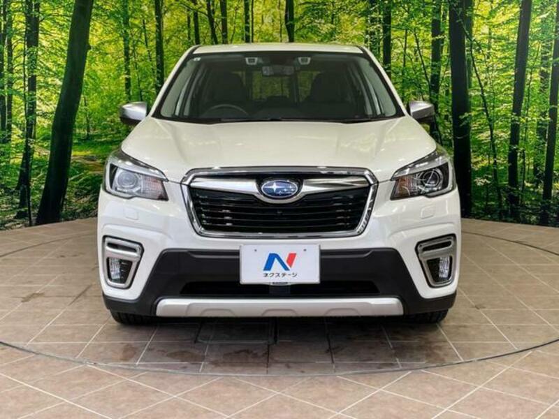 FORESTER-18