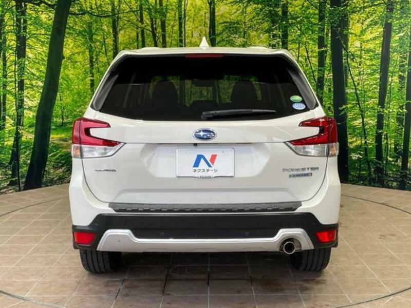 FORESTER-19
