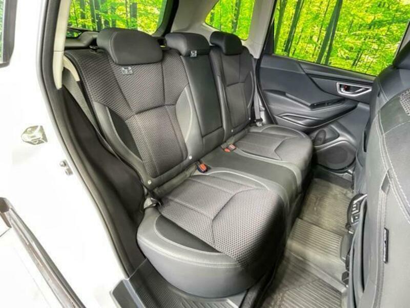 FORESTER-11