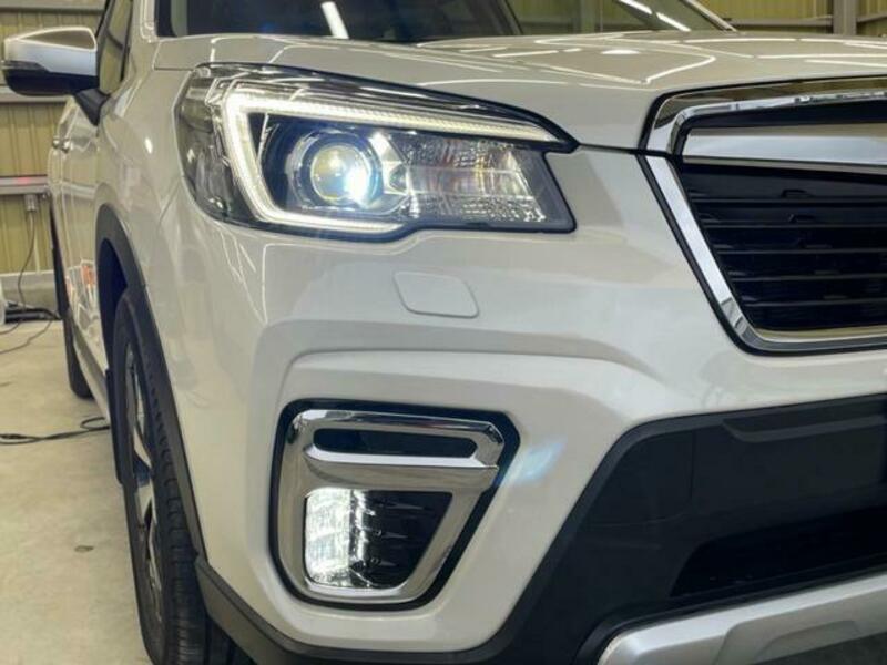 FORESTER-14
