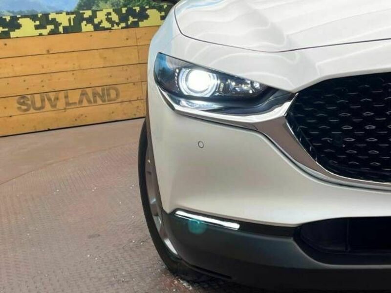CX-30