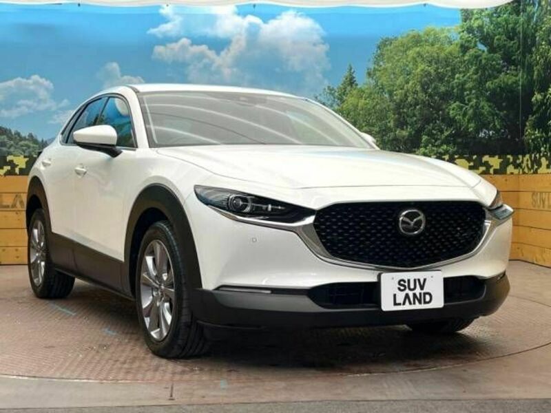 CX-30