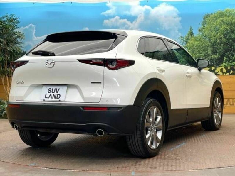 CX-30