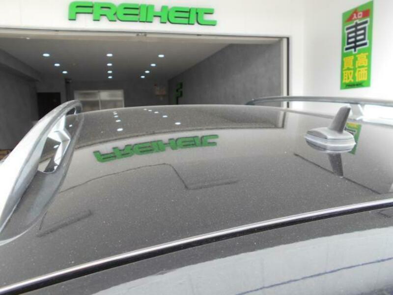 GOLF VARIANT