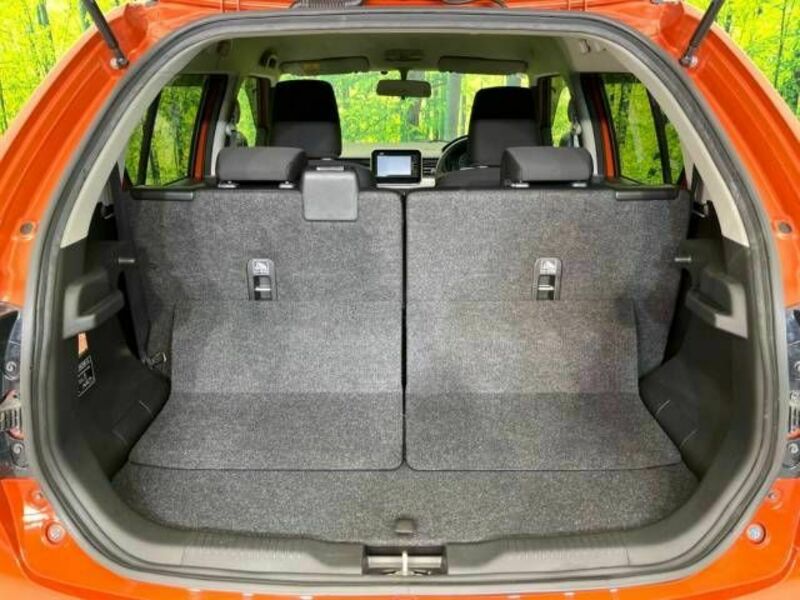 IGNIS-10