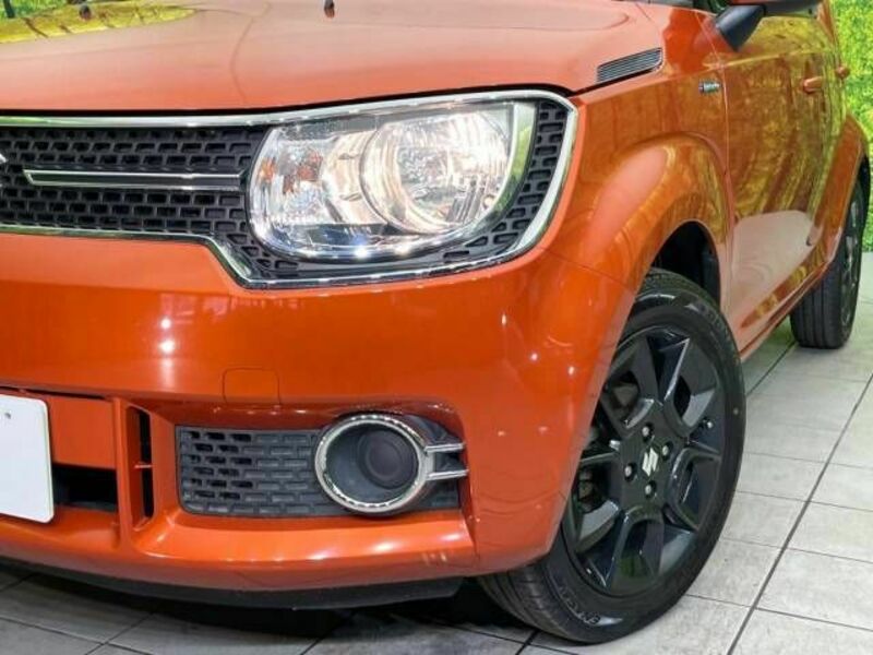 IGNIS-11