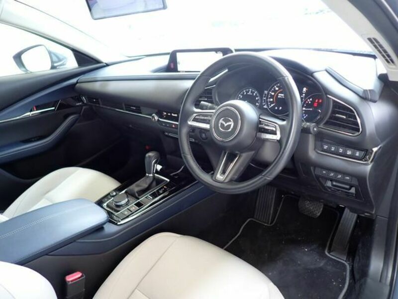 CX-30