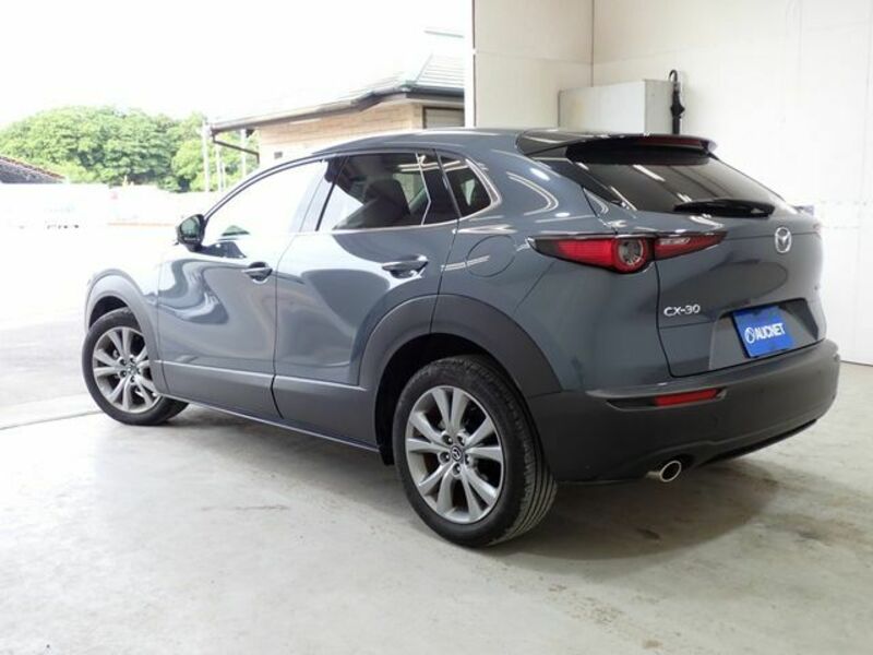 CX-30