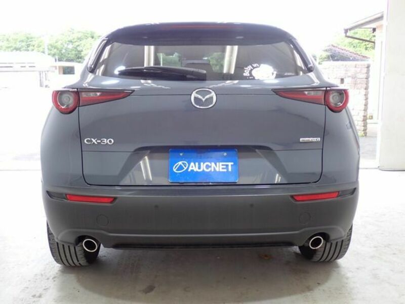 CX-30