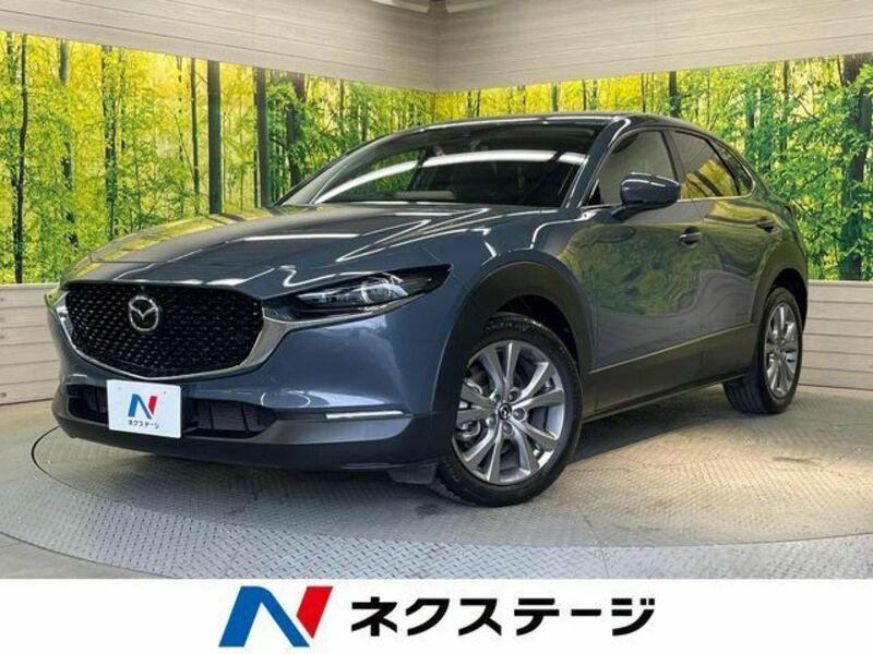 CX-30