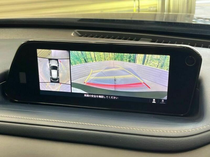 CX-30-4