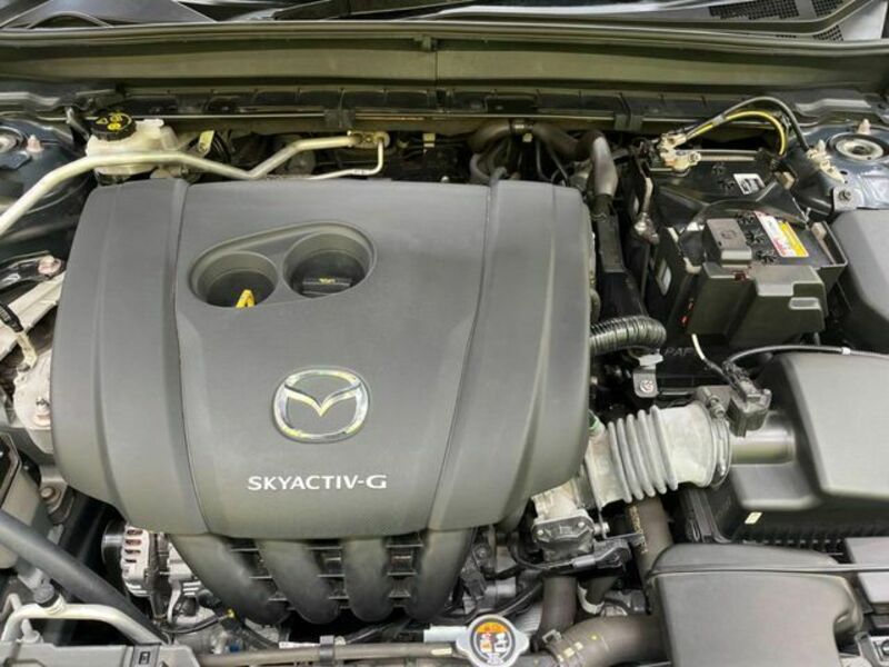 CX-30-17