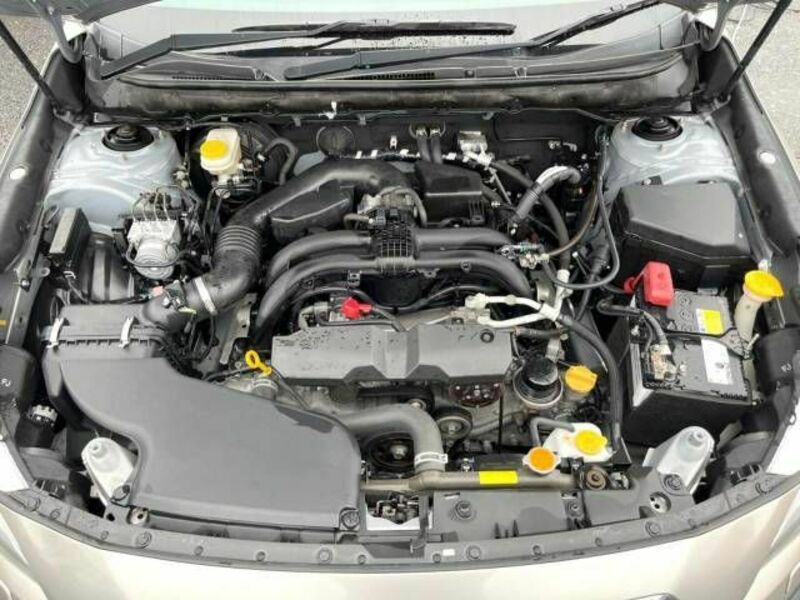 LEGACY OUTBACK