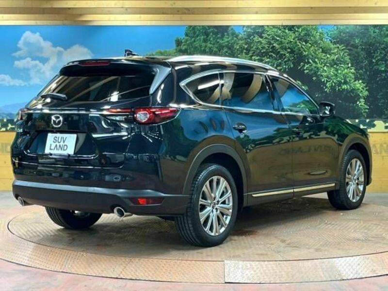 CX-8