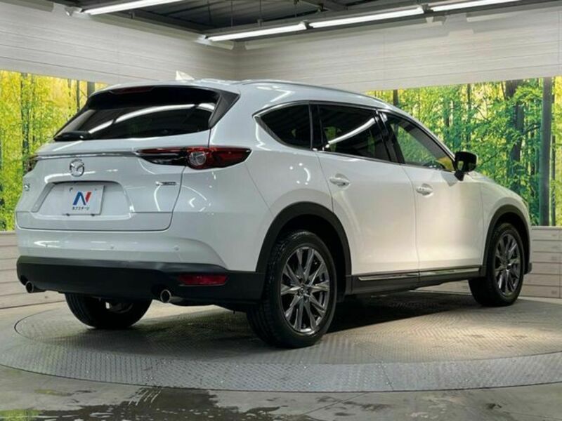 CX-8