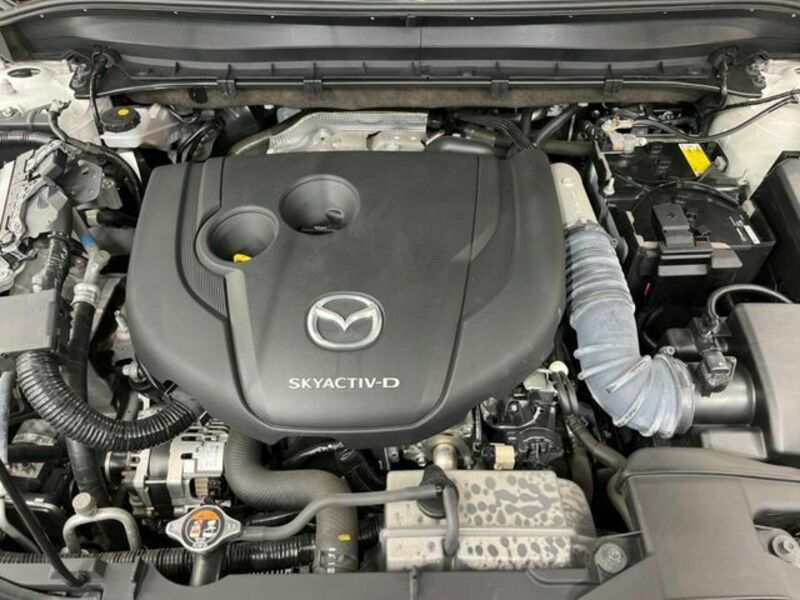 CX-8
