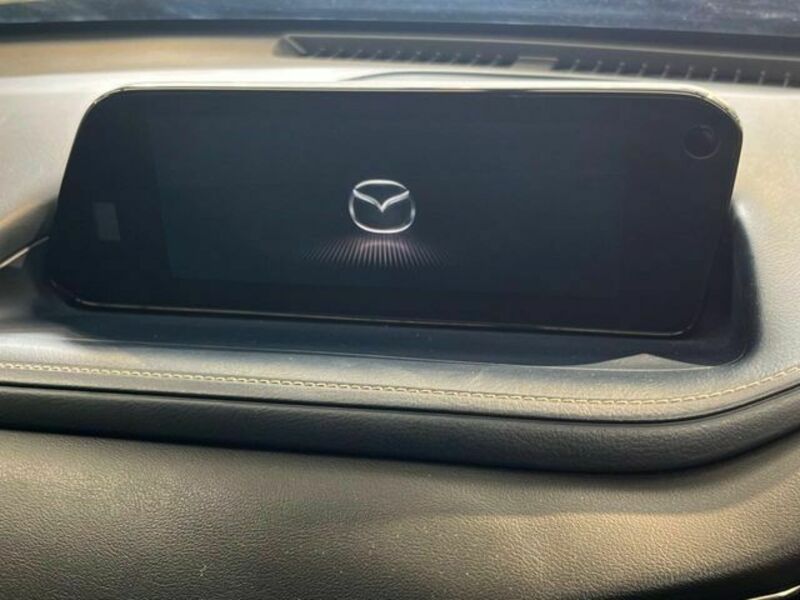 CX-30-3