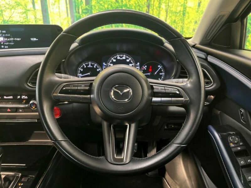 CX-30-10