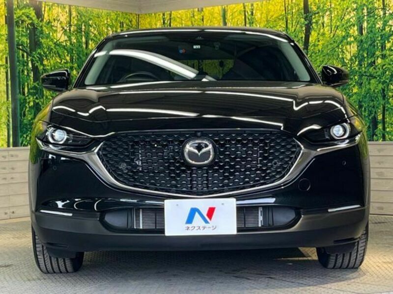 CX-30-13