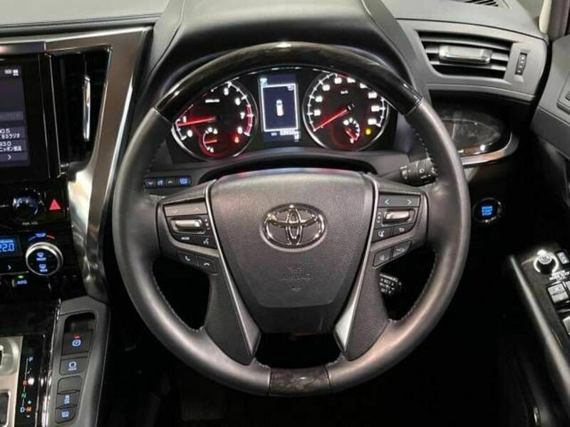ALPHARD-10