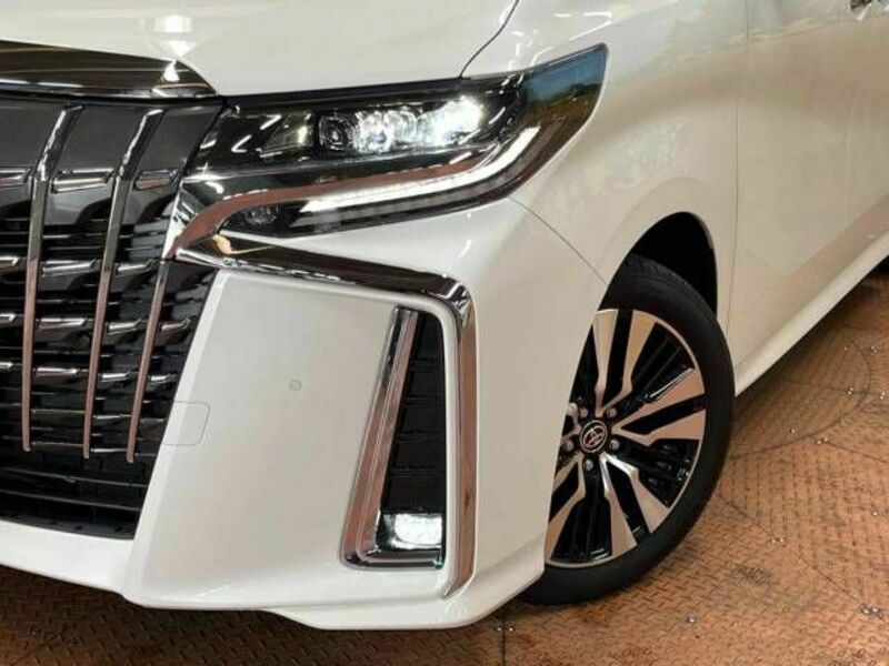 ALPHARD-11