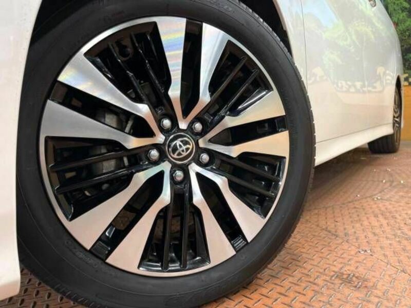 ALPHARD-12