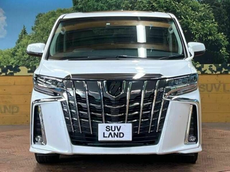 ALPHARD-13