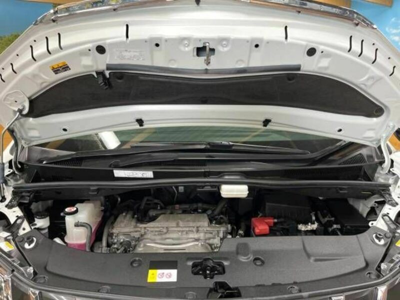 ALPHARD-17