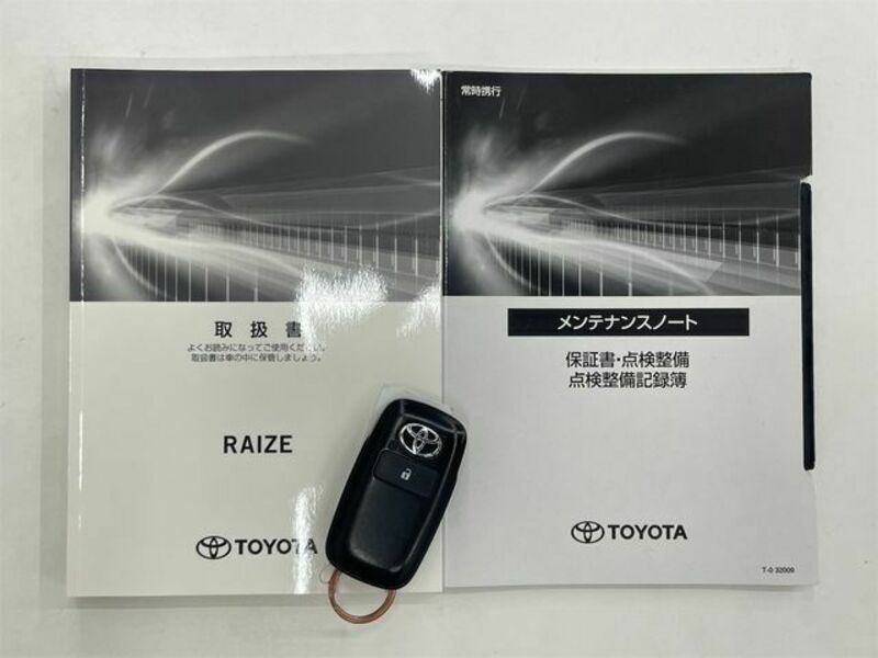 RAIZE-22