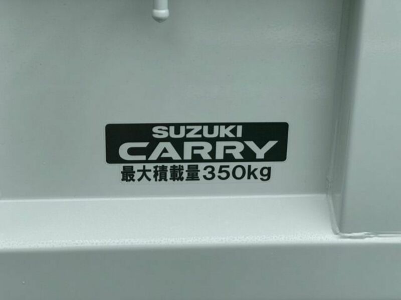 CARRY TRUCK-12